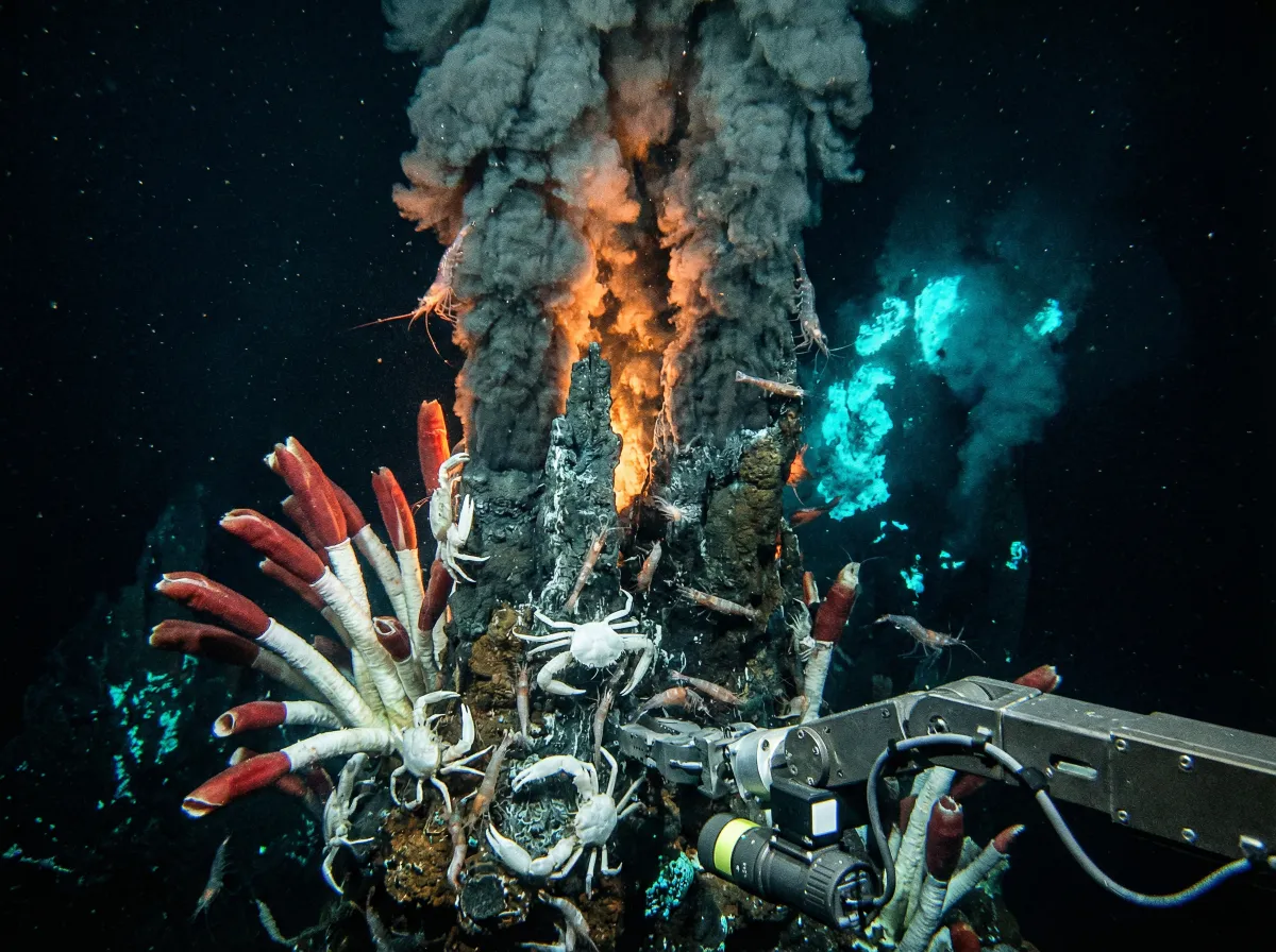 海底热泉管虫生态系统 - 海角吃瓜